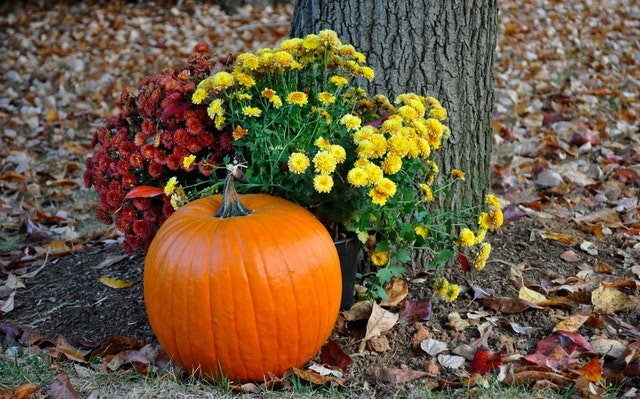 Trick or treating is fun for families with kids, but not fun for adults without them.